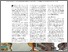 [thumbnail of Artikel_Schädeli_4_6.pdf]