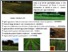 [thumbnail of cra-ora_giornata_divulgativa_per_il_bio_23062015.pdf]