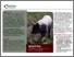 [thumbnail of MAFFRA projektfolder ICROFS hjemmeside.pdf]